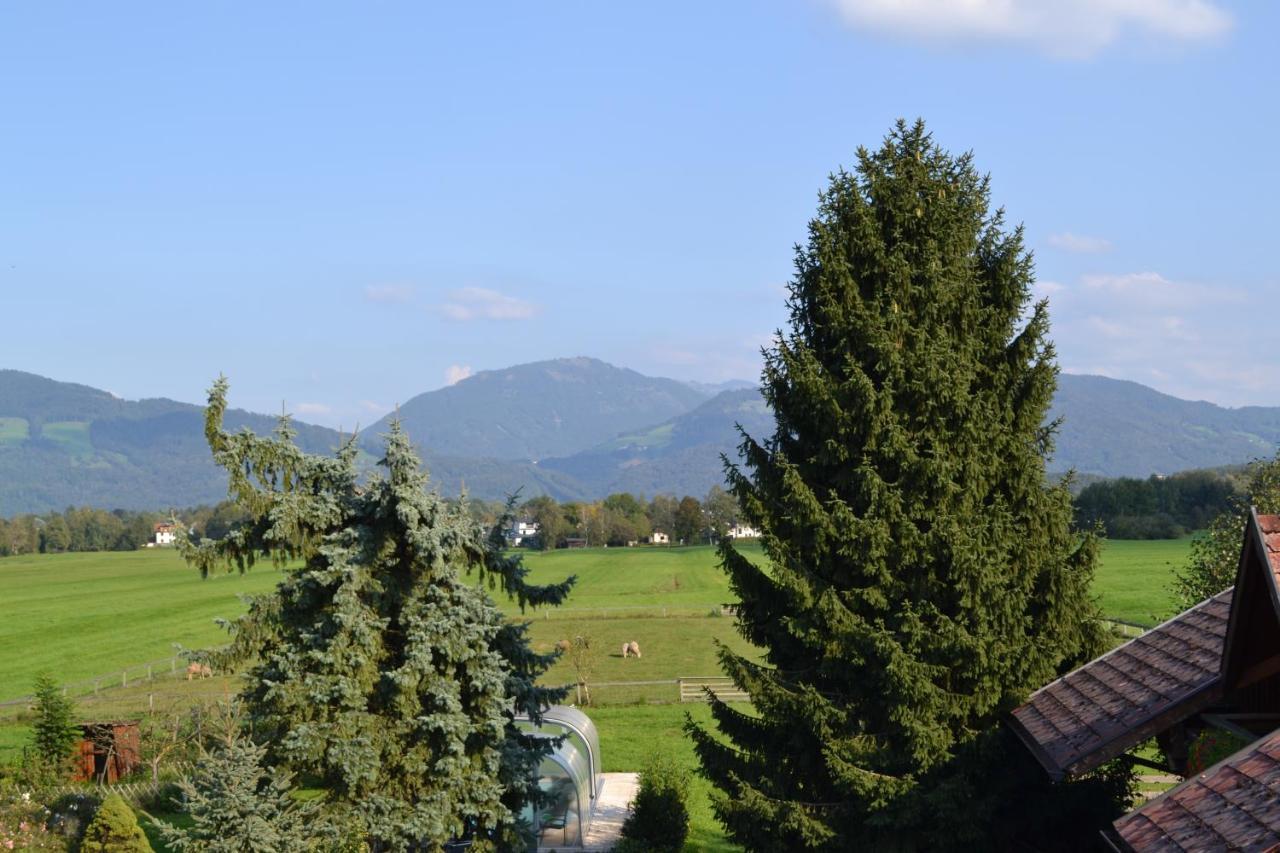 Ferienwohnung Schmiedhansl Moos Salzburgo Exterior foto